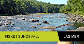 fiske sundsvall fiske sundsvall
